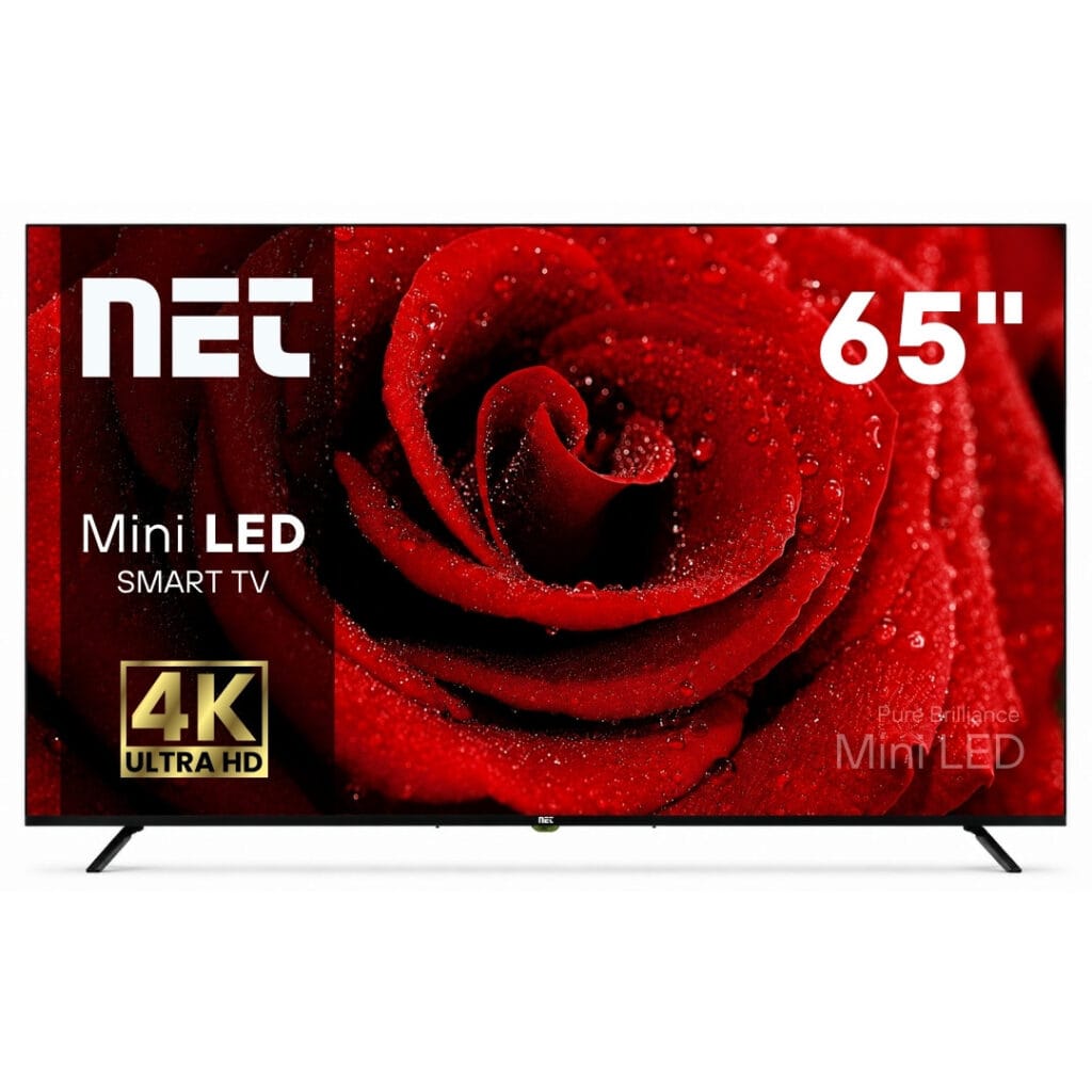 Televizor 65 inca NET650ML1